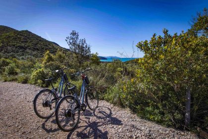 Bicicletta nel Parco della Maremma